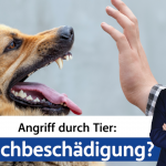Podcast für Schutz und Sicherheit